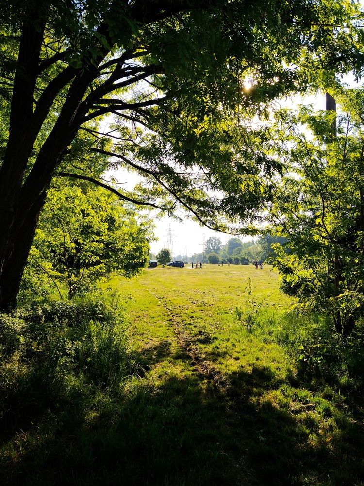 Фотография автора Гвоздецкая Анна