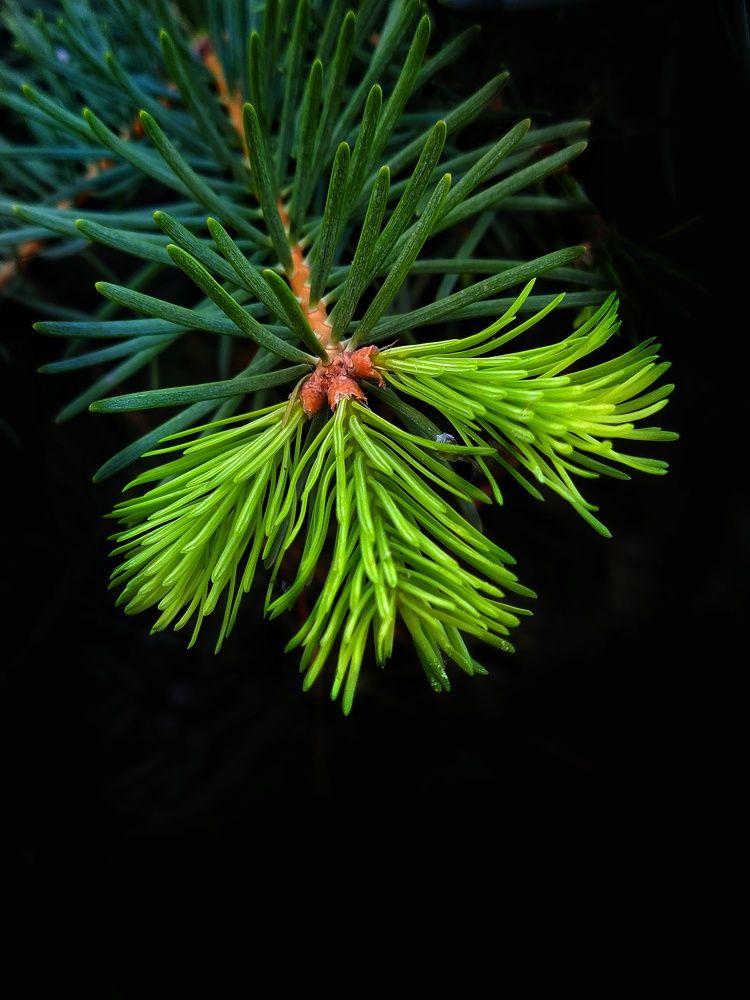 Фотография автора Гвоздецкая Анна