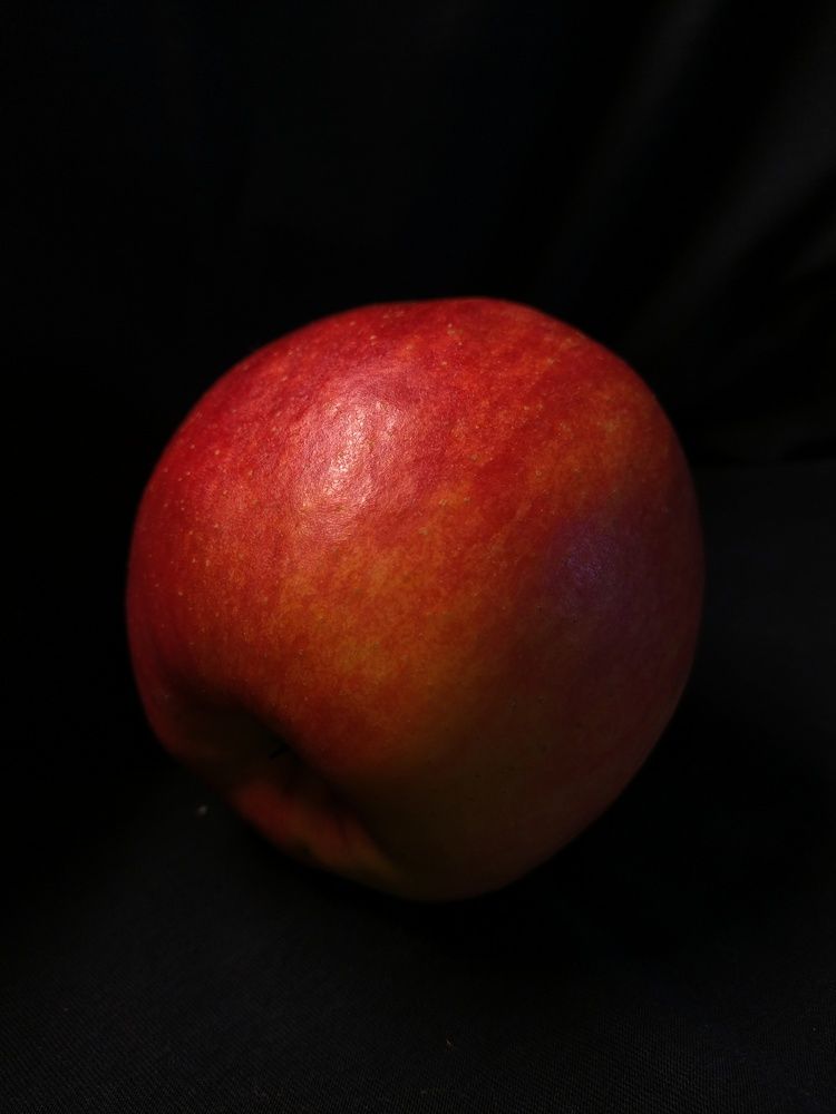 Фотография автора Гвоздецкая Анна