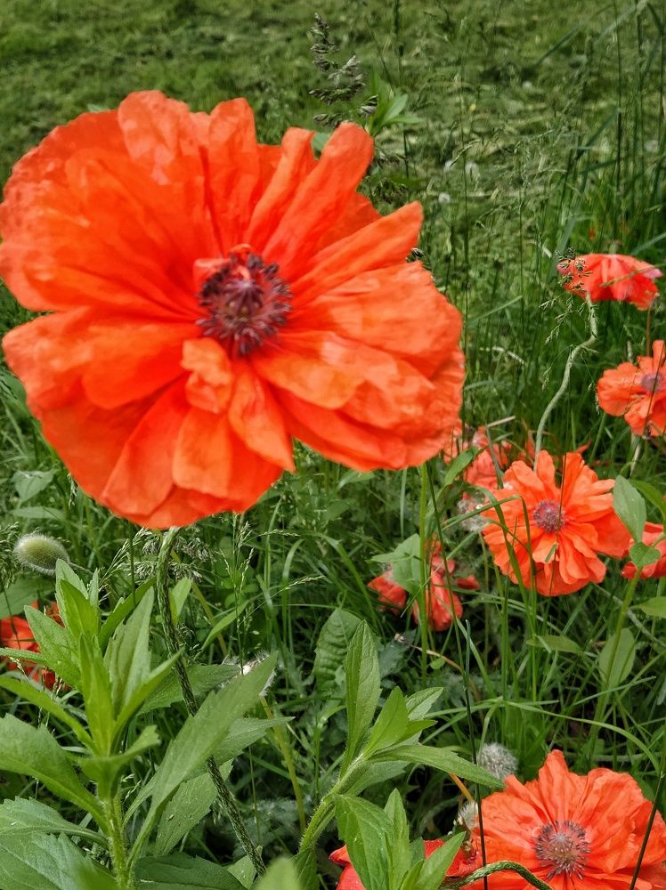 Фотография автора Гвоздецкая Анна