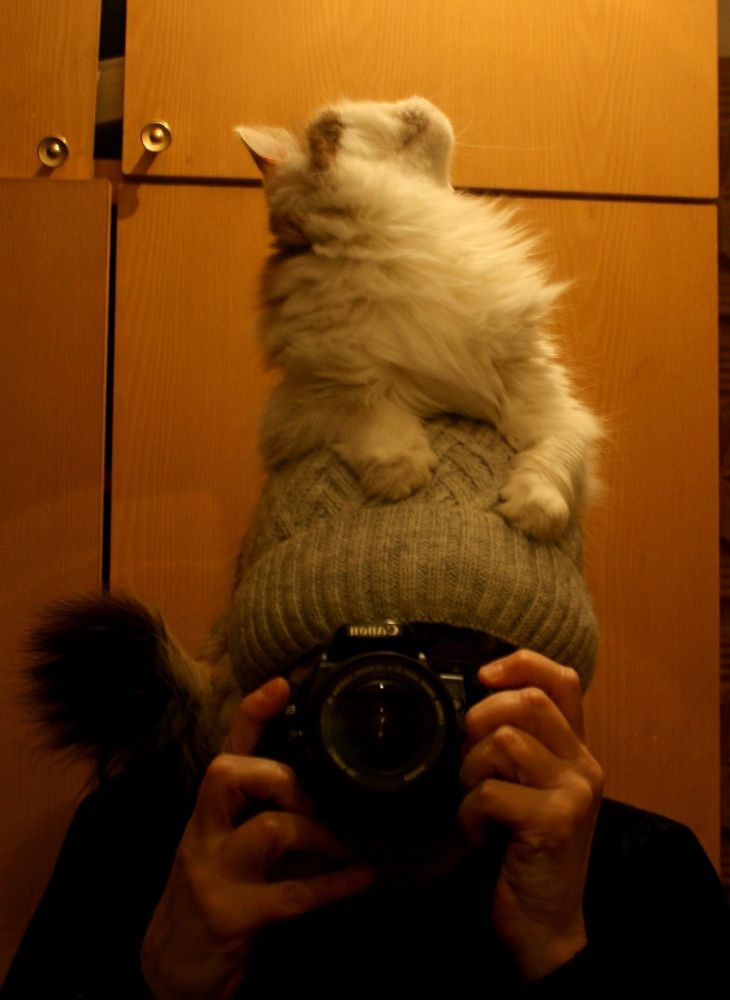 Photograph by Кунц