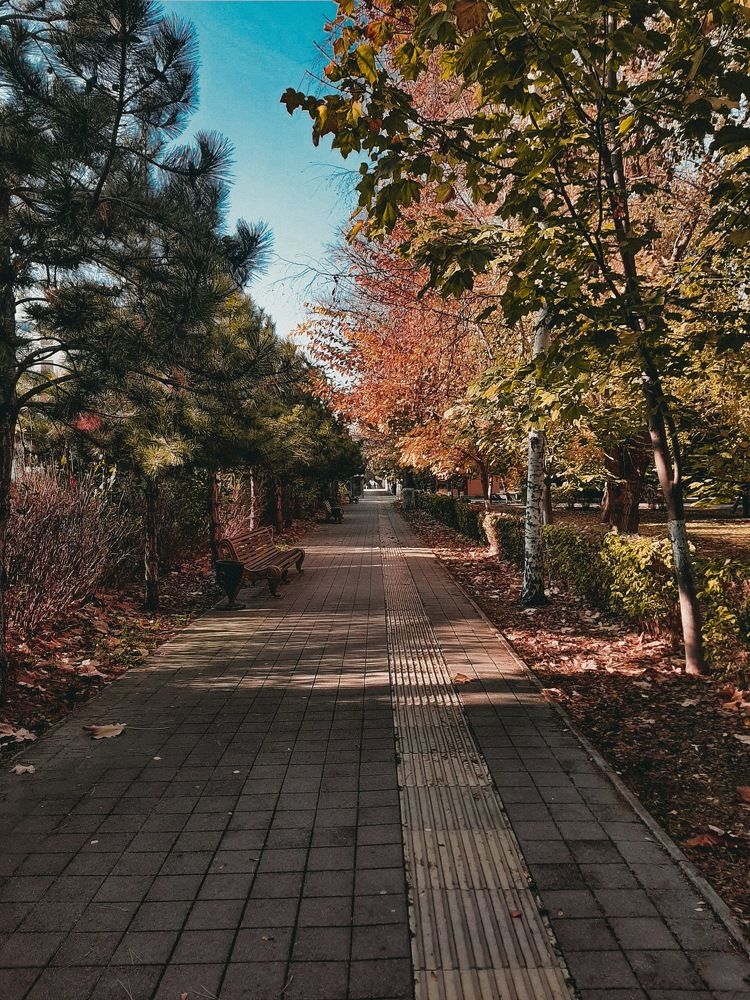 Фотография автора Даниил Барченко