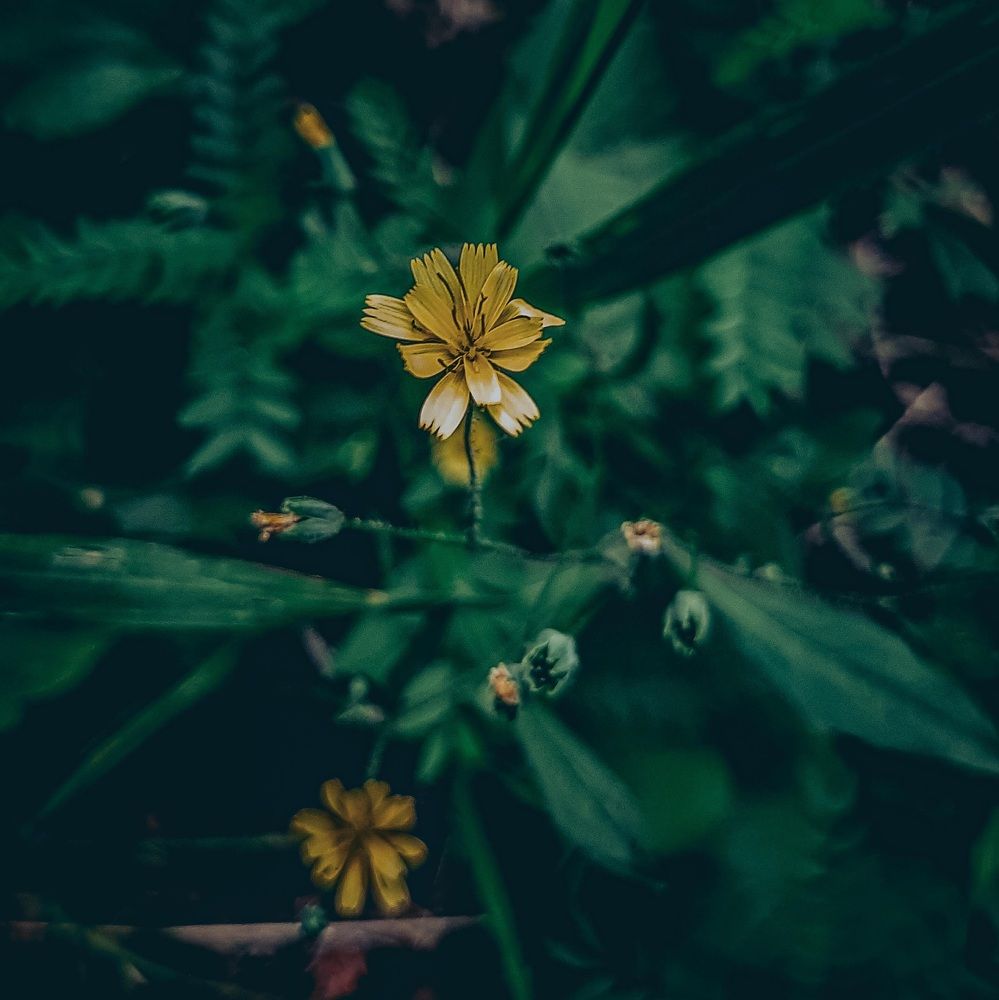 Фотография автора Даниил Барченко