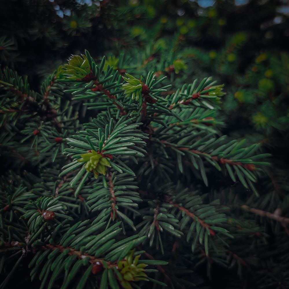 Фотография автора Даниил Барченко