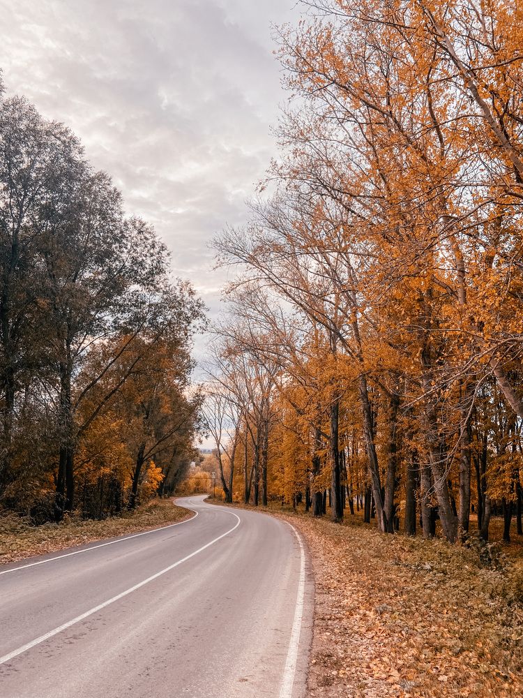 Photograph by Катерина
