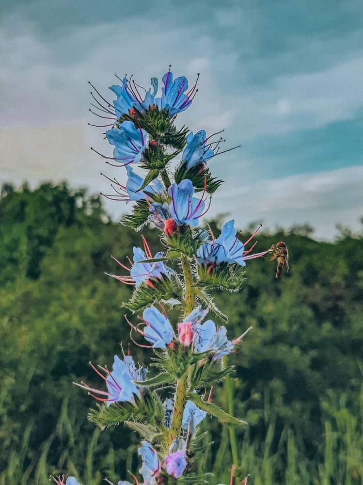 Фотография автора Даниил Барченко