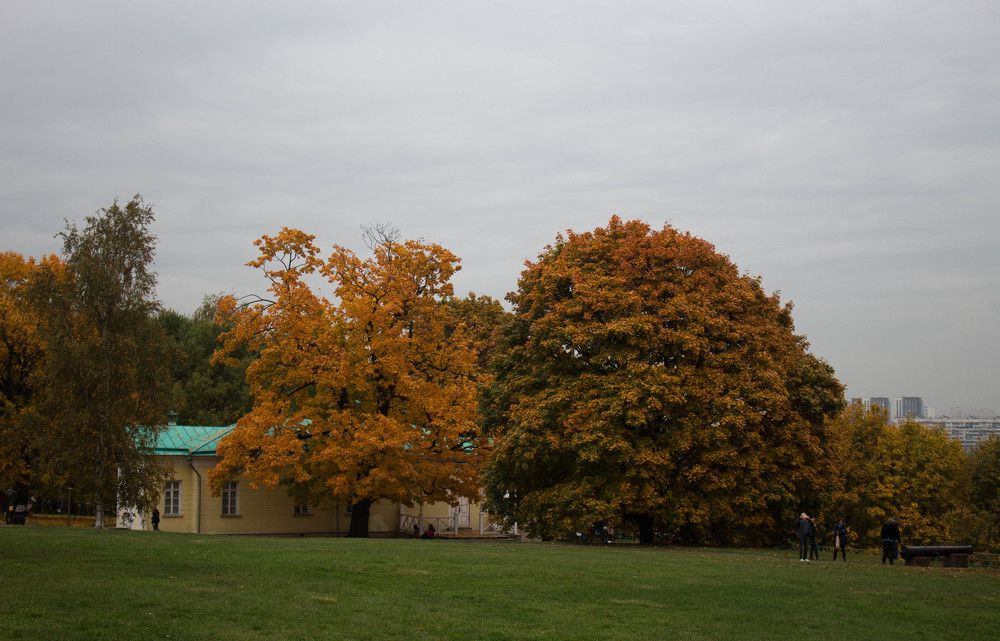 Photograph by Полина Белокопытова