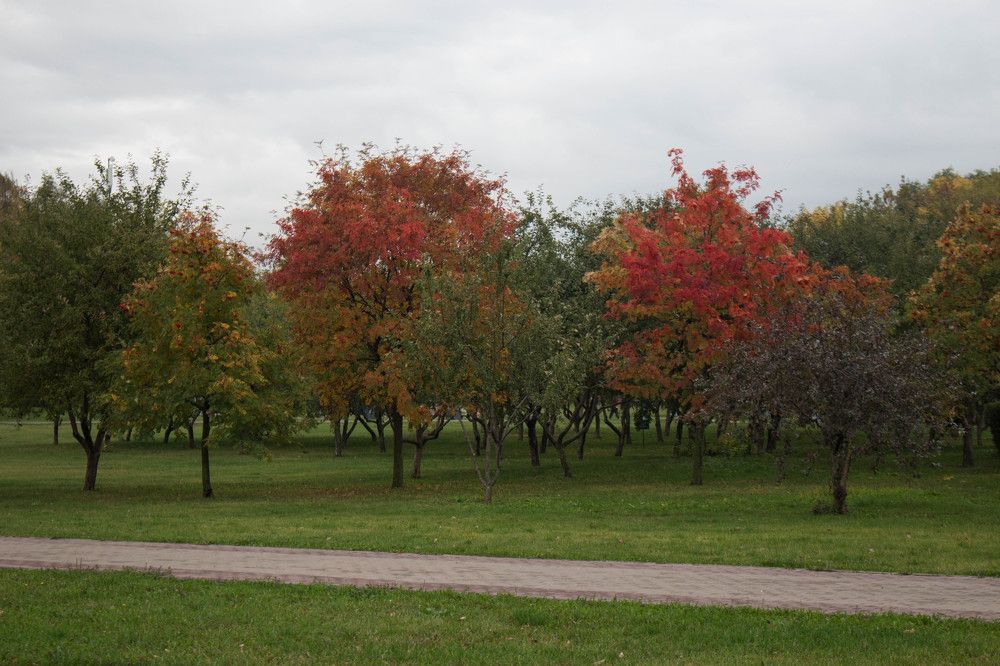 Photograph by Полина Белокопытова