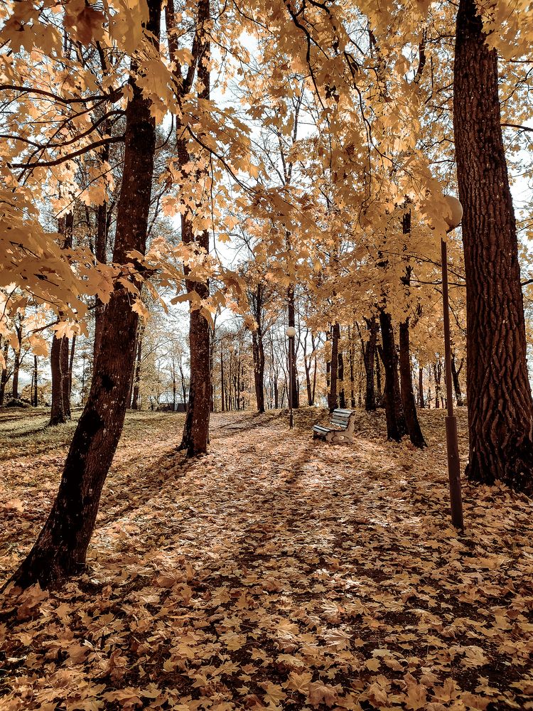 Photograph by Ольга Еженевская