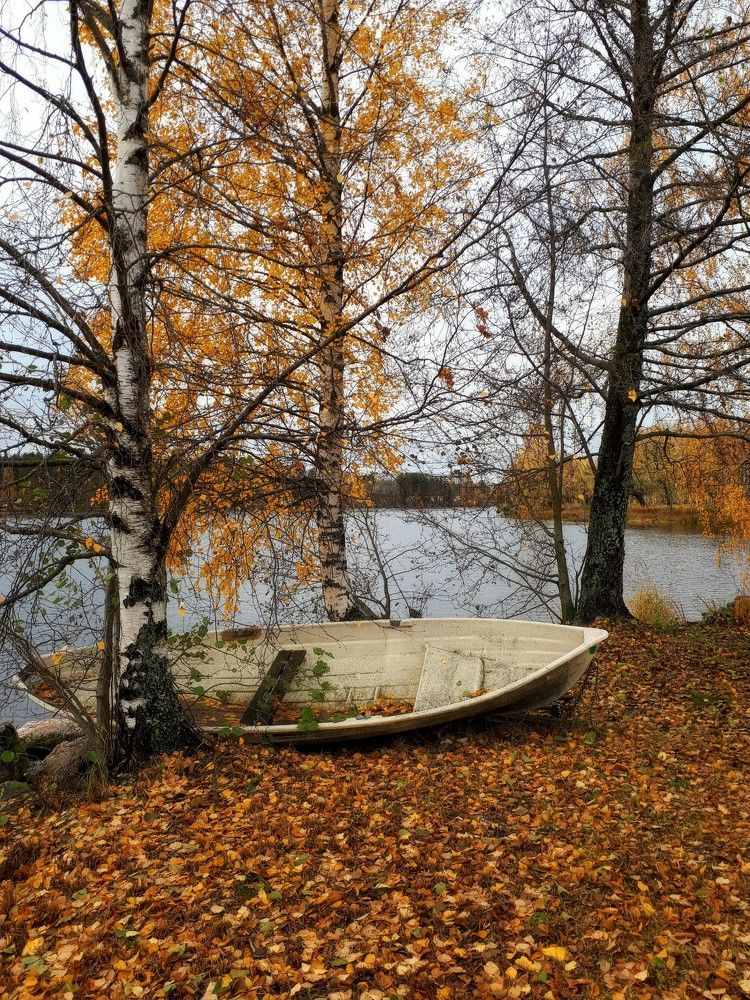 Photograph by Надежда Кудрявцева