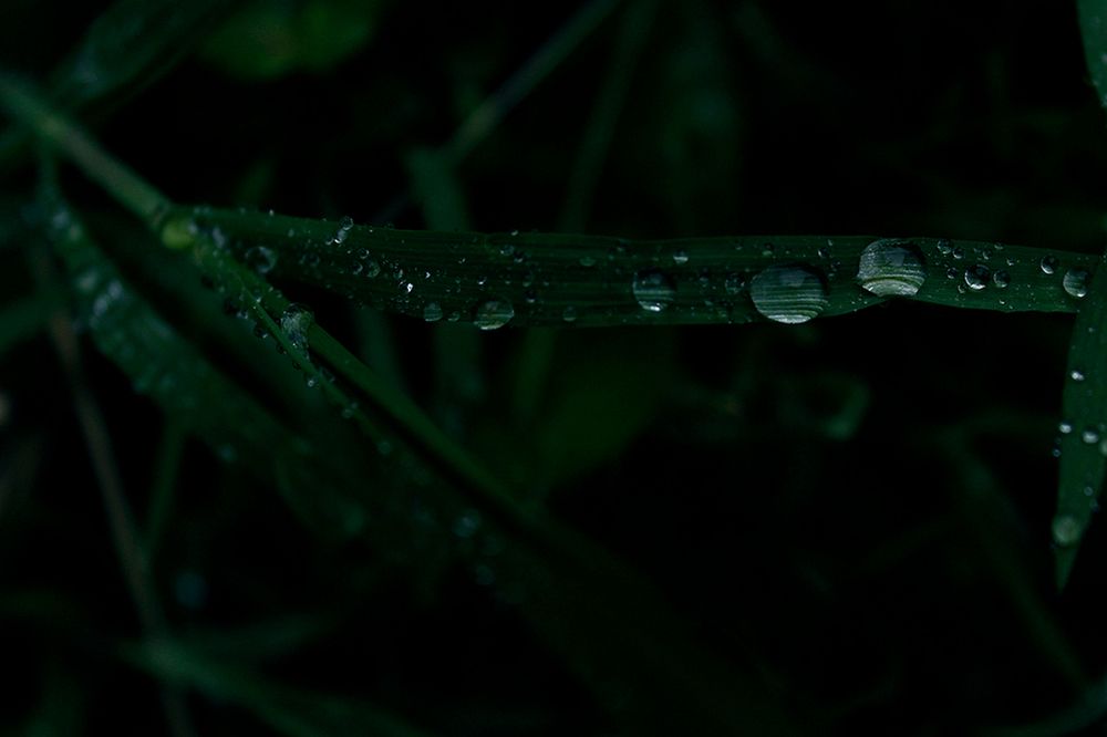 Photograph by Victoria Dem