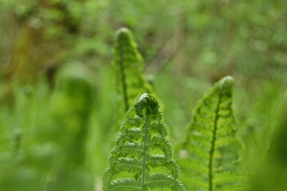 Photograph by Илья Ушак