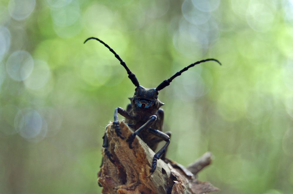 Photograph by Илья Ушак