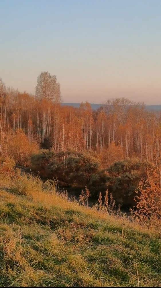 Photograph by Наталья Круглова