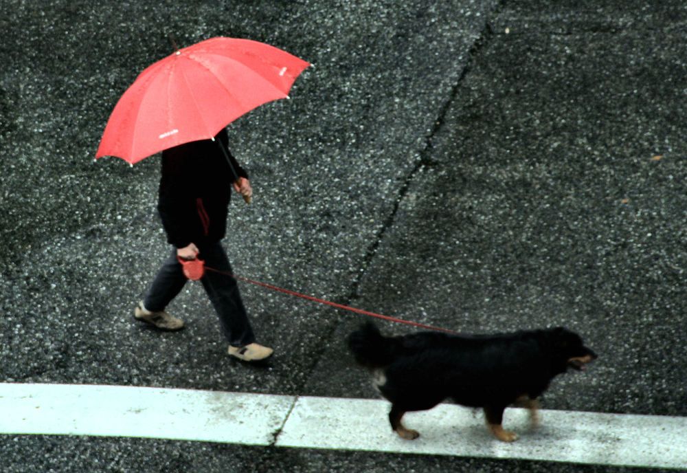 Photograph by sergio maritan