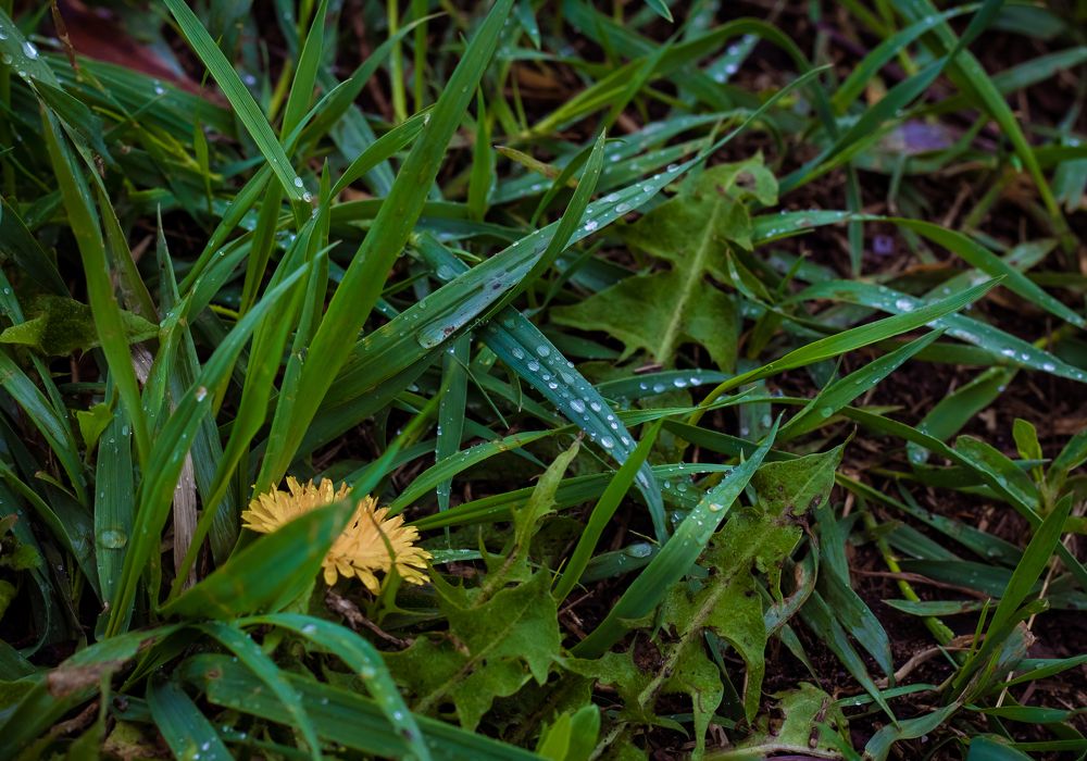 Photograph by Нефедова Ангелина
