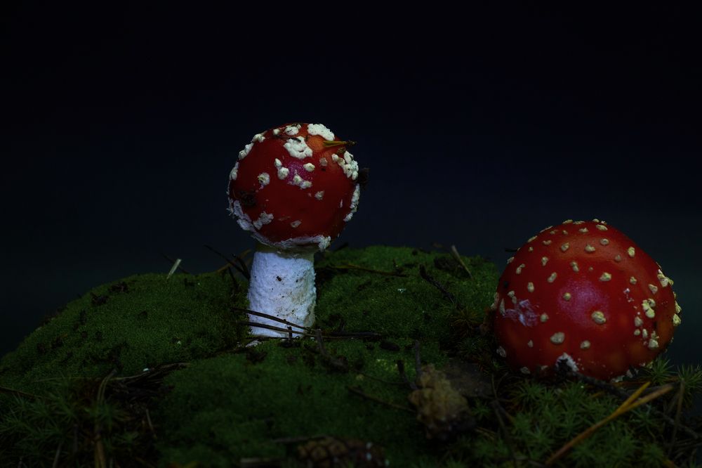 Photograph by Мари Полищук