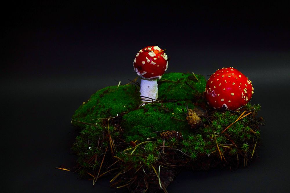 Photograph by Мари Полищук