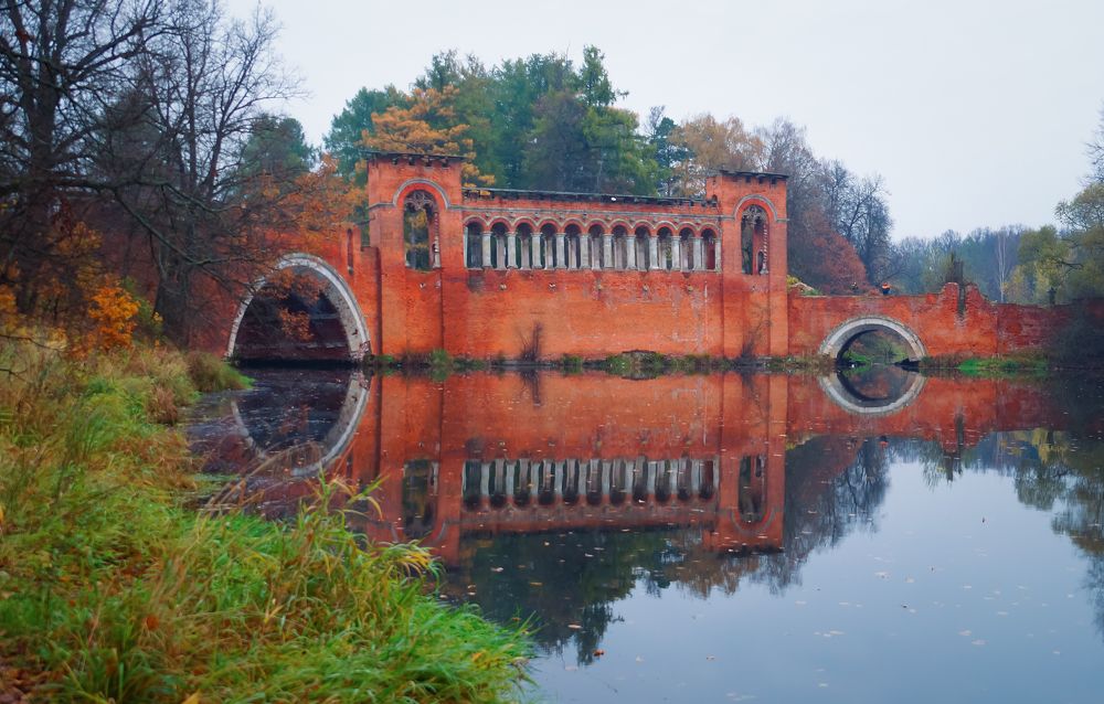 Photograph by Olga Mendosa