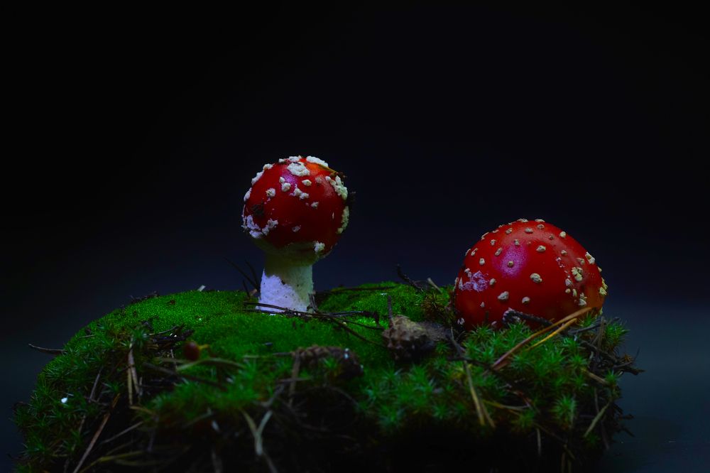 Photograph by Мари Полищук