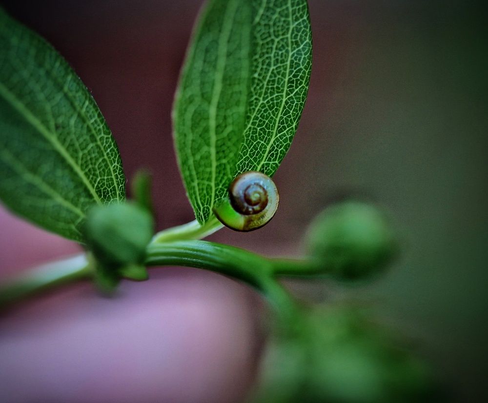 Photograph by Ольга