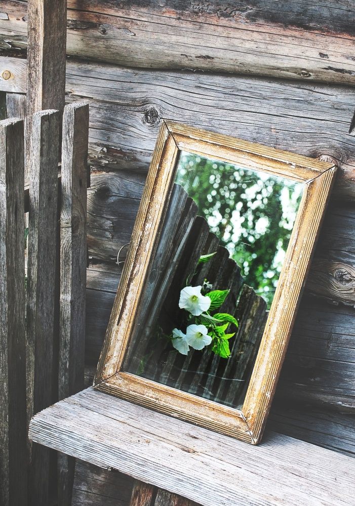 Photograph by Ольга