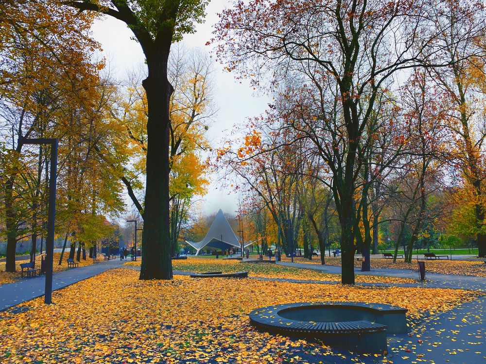 Photograph by Мари Полищук