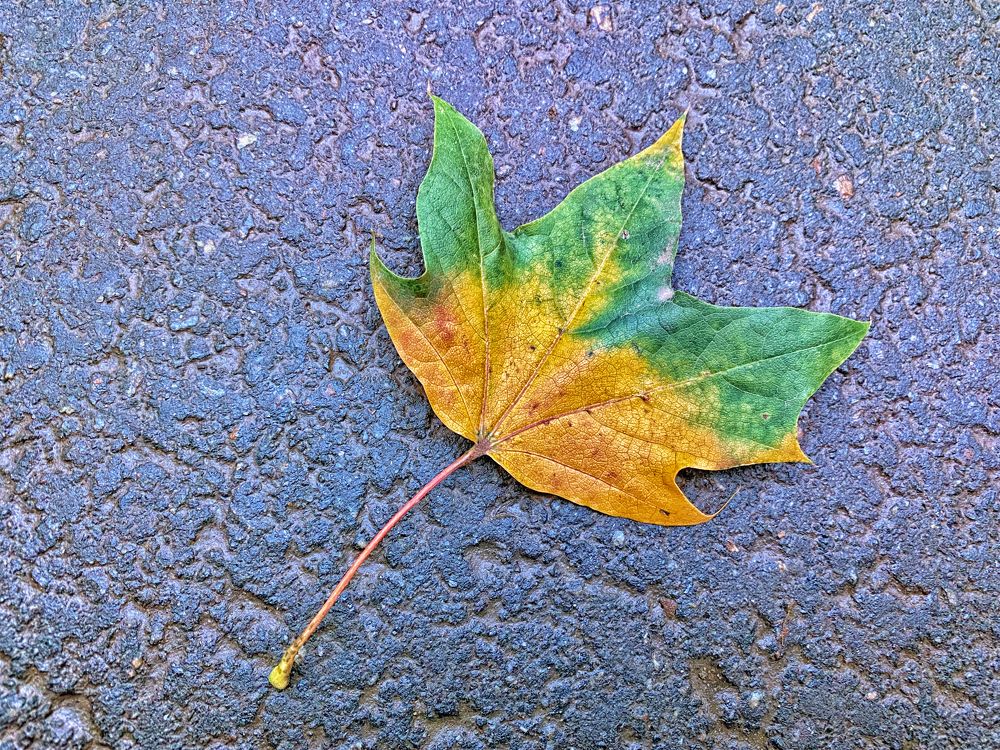 Photograph by Мари Полищук