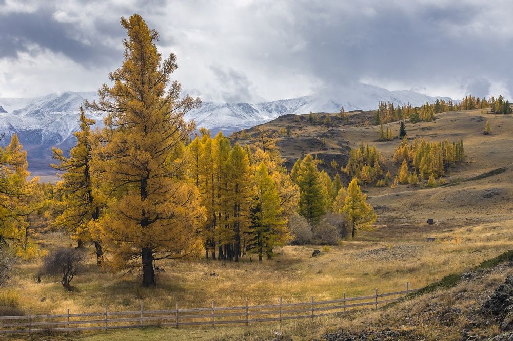 Photograph by Ярослав Лукьянов