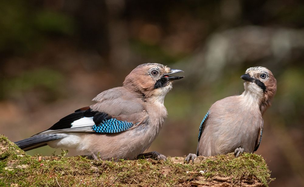 Photograph by Павел Краснослободцев