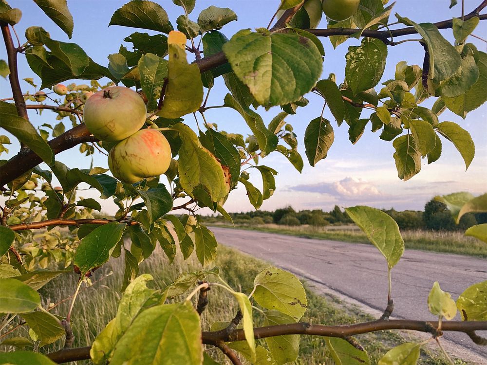 Photograph by Светлана Курганова
