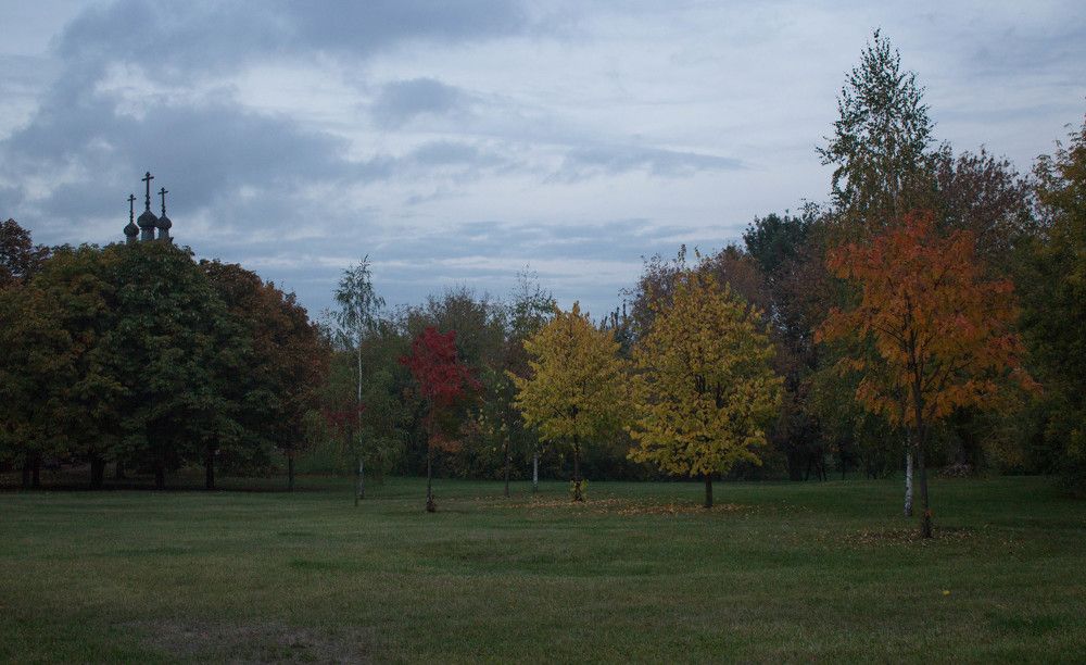 Photograph by Полина Белокопытова