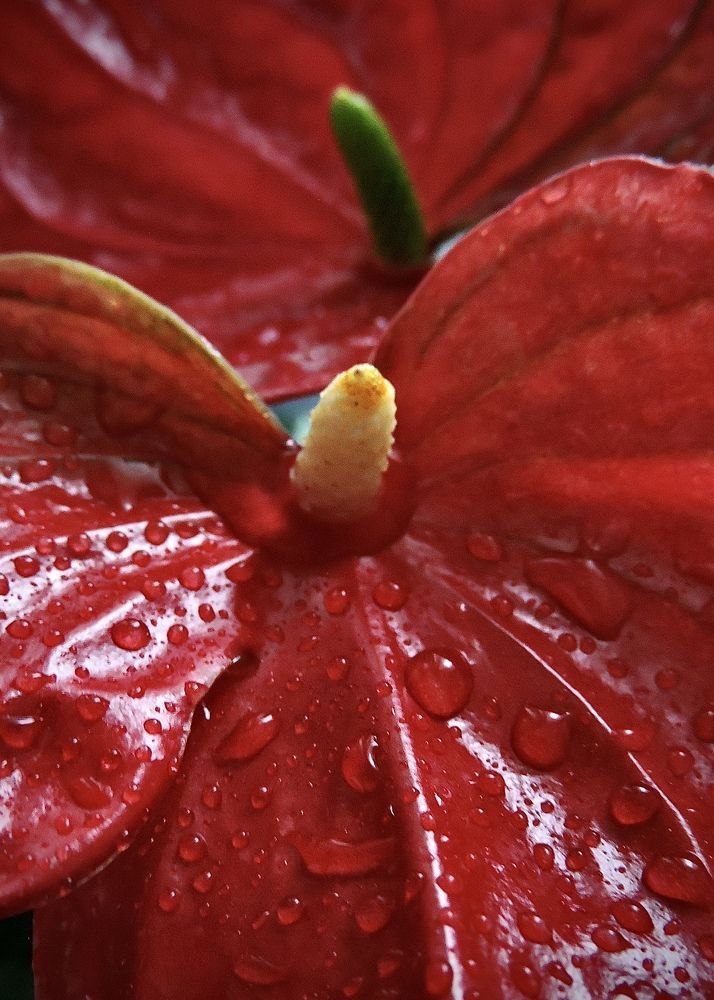 Photograph by Светлана Богомолова