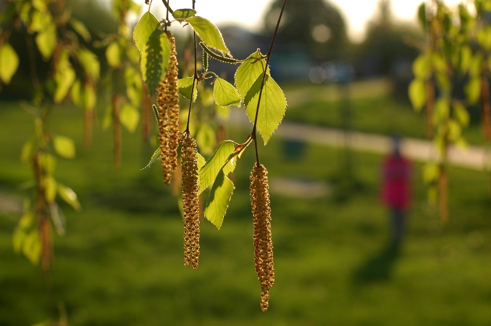 Photograph by Игорь Ххх