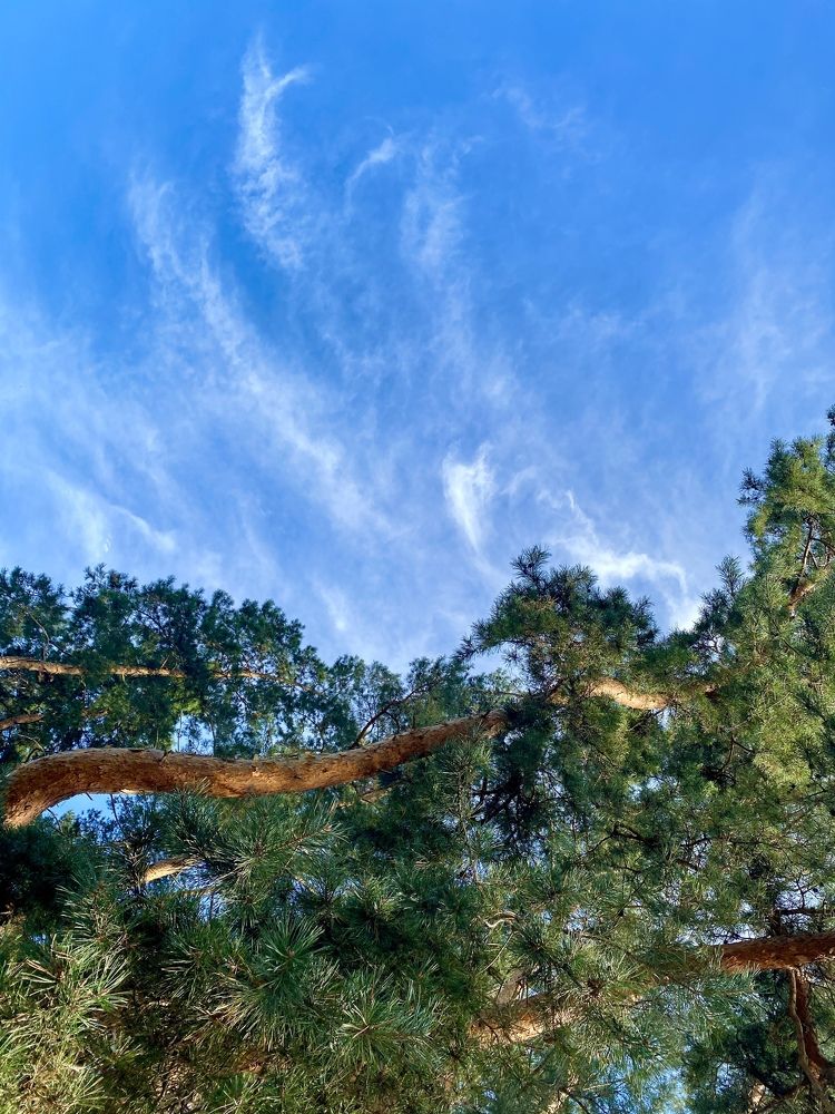 Photograph by Мари Полищук