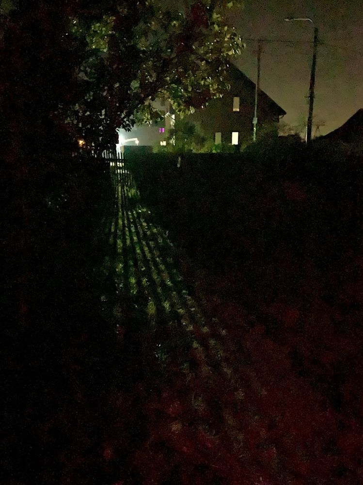 ночные тени