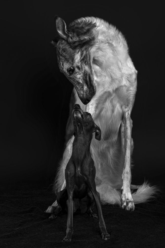 Photograph by наталья залогина