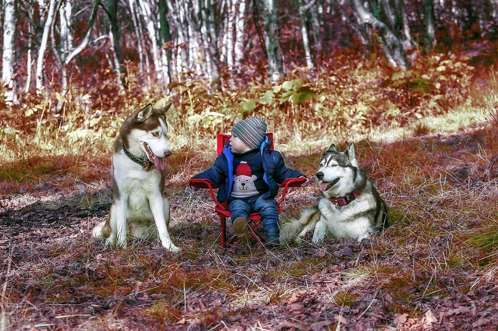 Фотография автора Дмитрий Frost