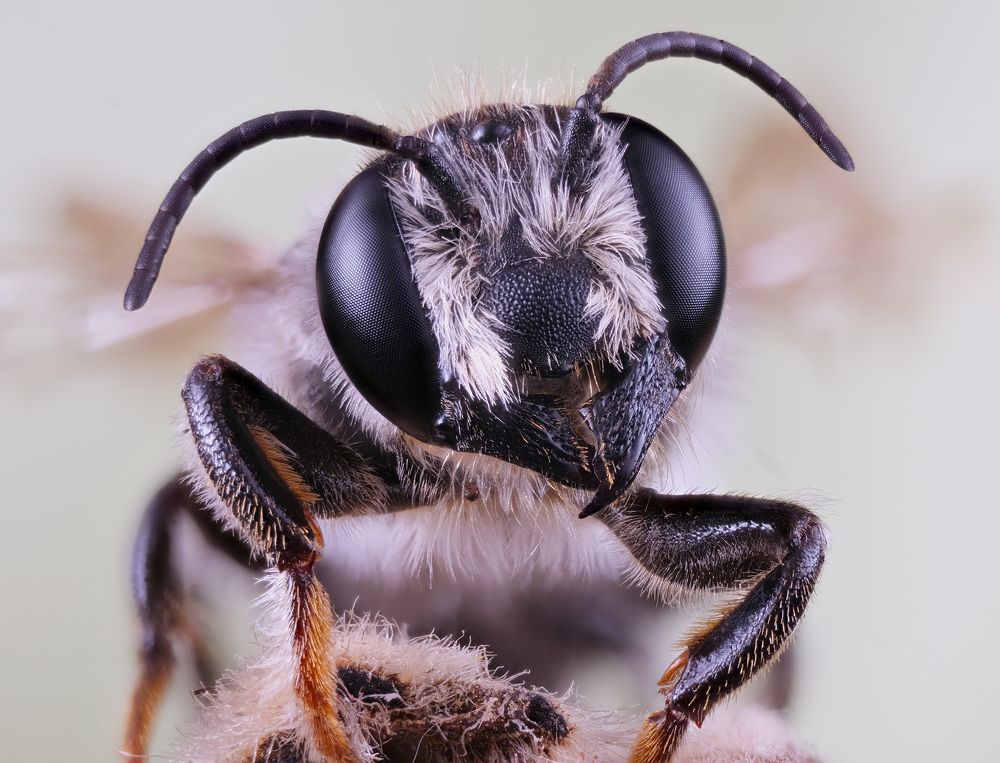 Photograph by Юрий Юрьевич