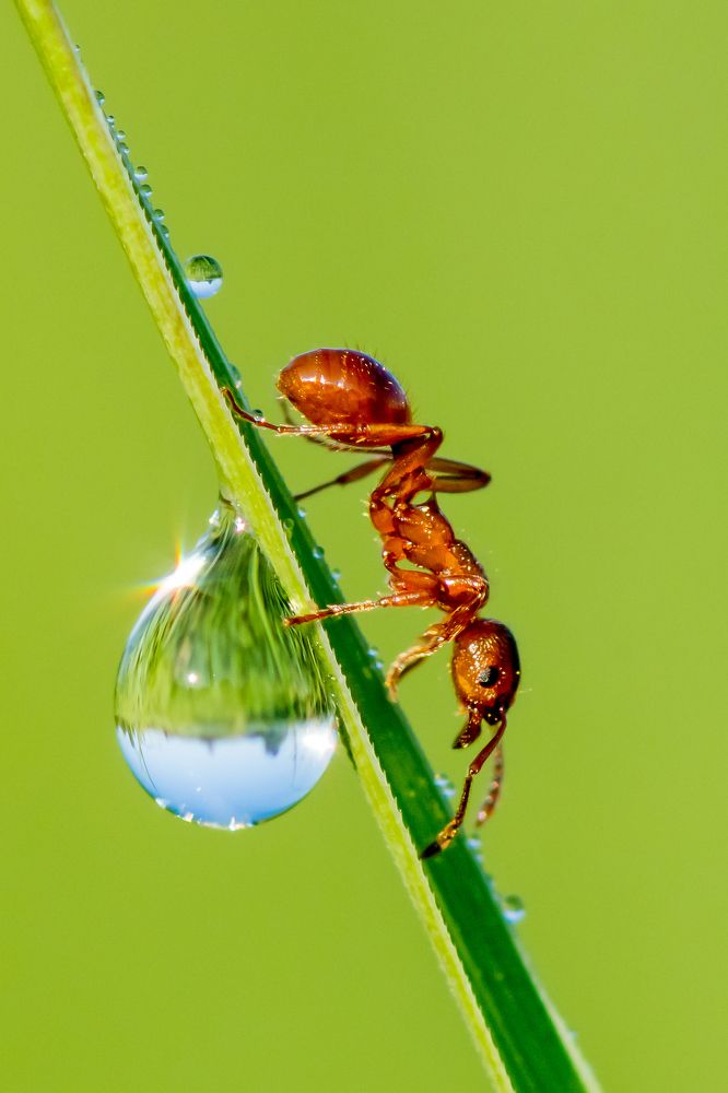 Photograph by Андрей Зуев