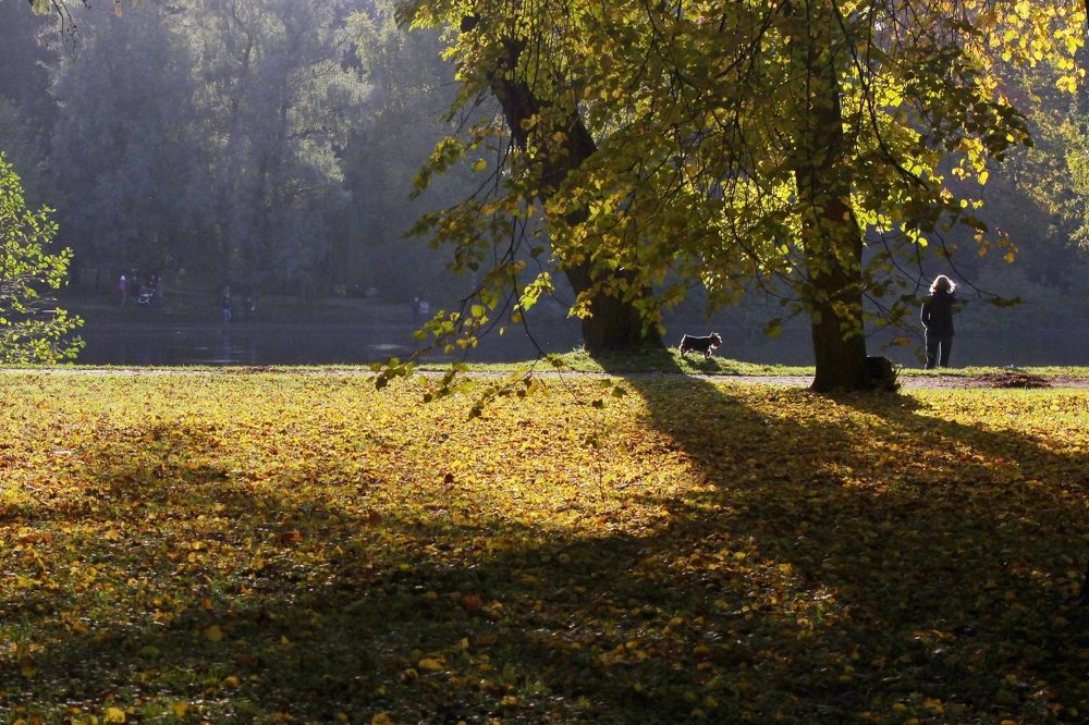 Photograph by Михаил Гордий