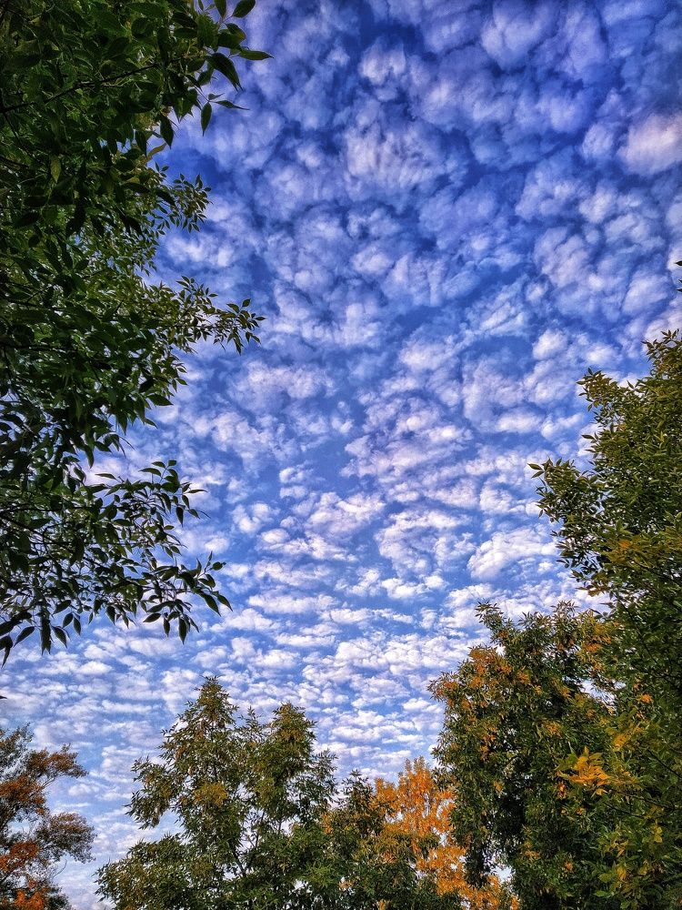 Фотография автора Гвоздецкая Анна