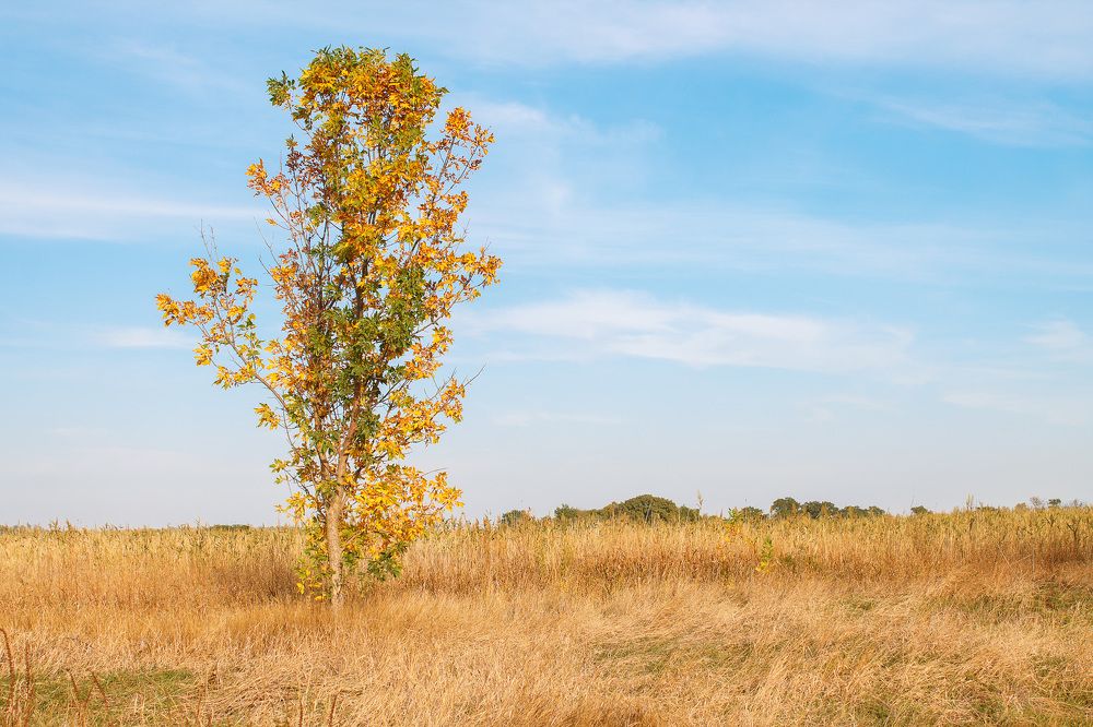 Photograph by Ольга Сельницына
