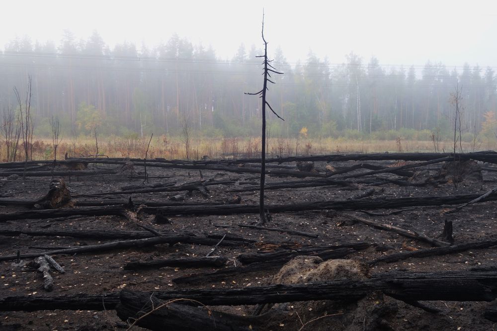 после пожара