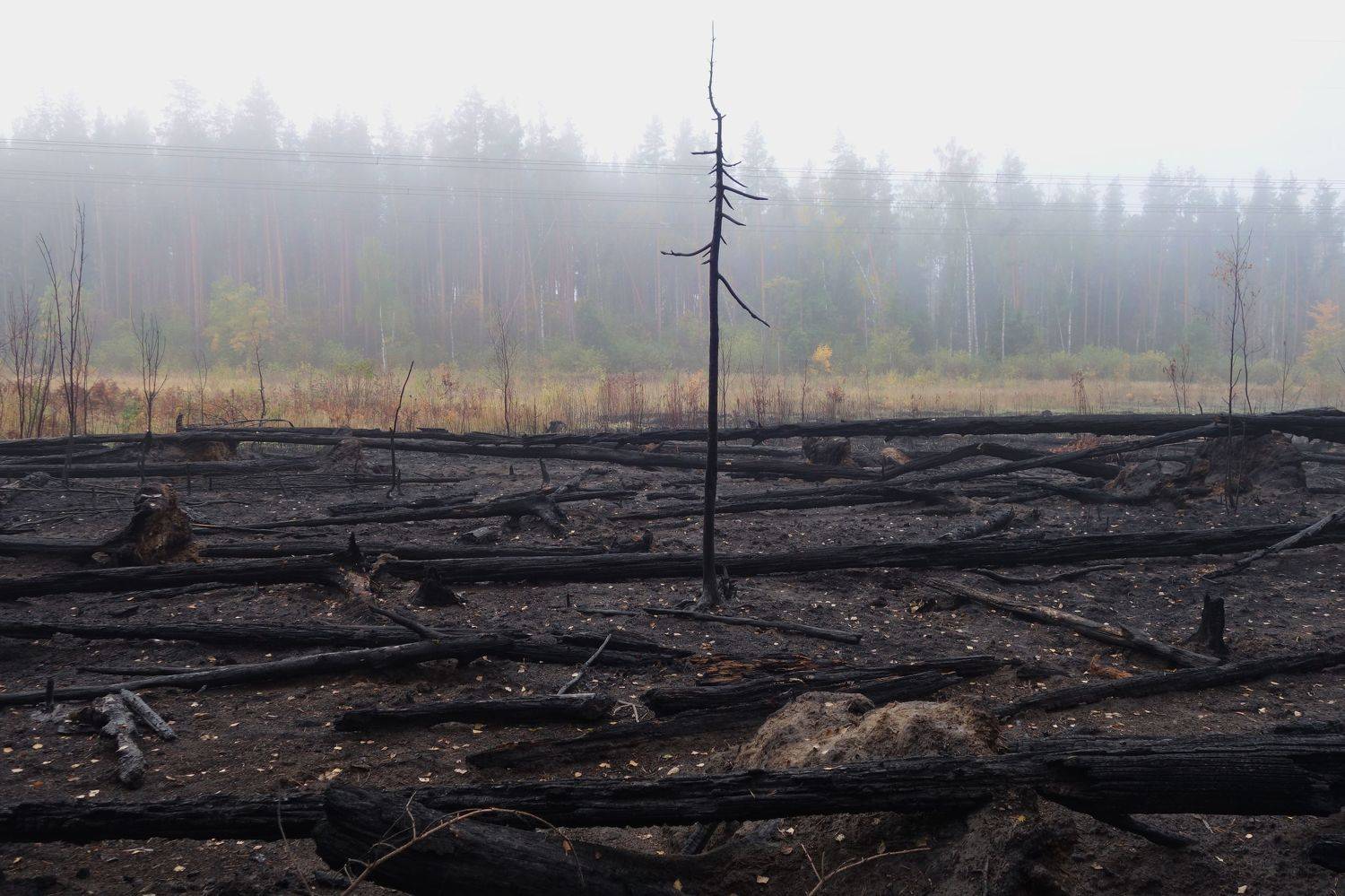 после пожара