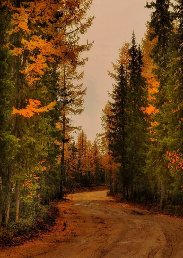 Photograph by Александр Бакин