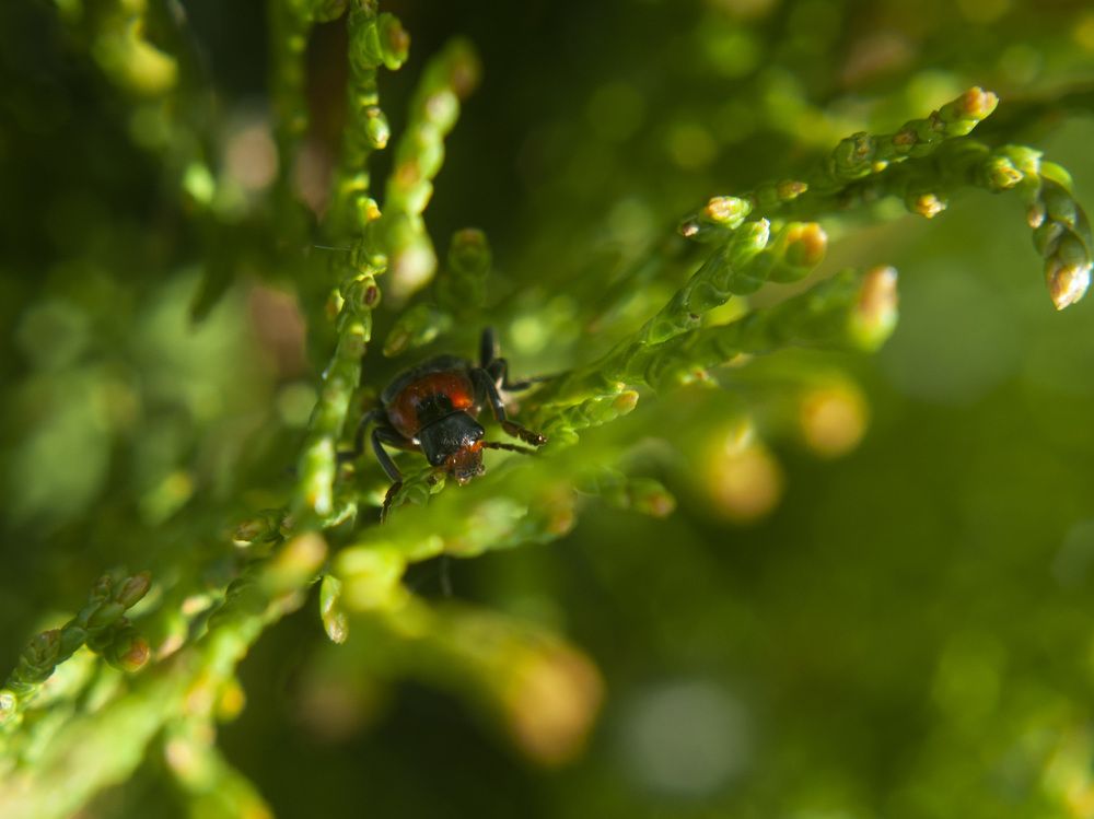 Photograph by Алёна Шматова