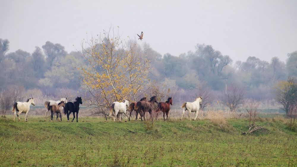Photograph by Ольга Сельницына