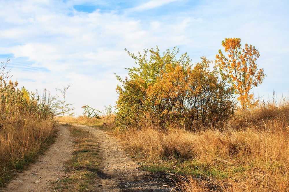 Photograph by Ольга Сельницына