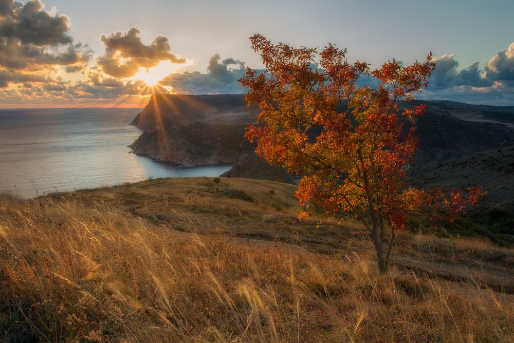 Photograph by Дмитренко Екатерина